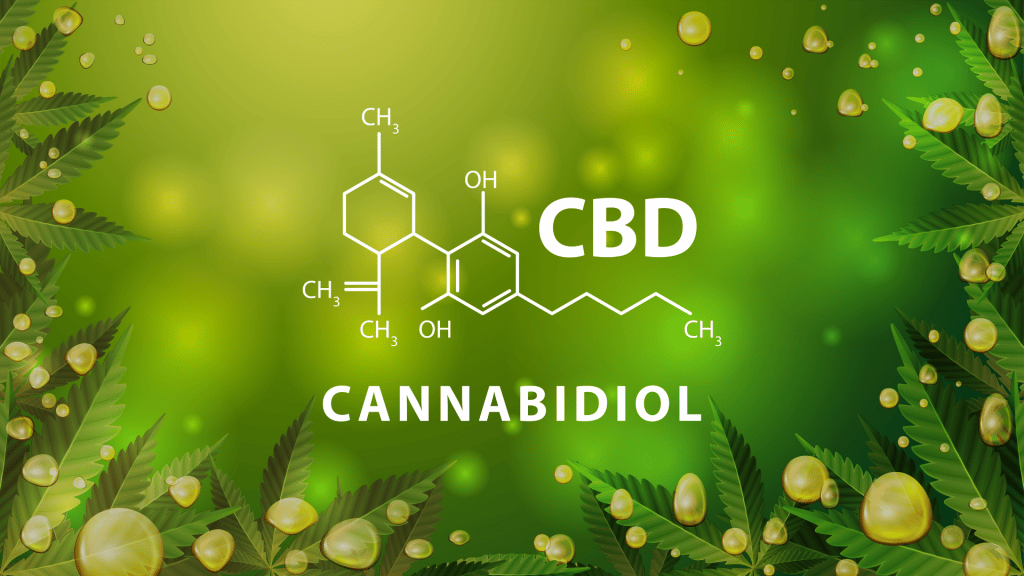 cbd cannabinoid