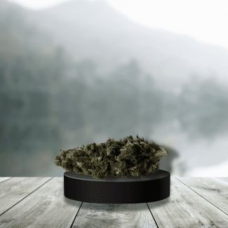 Chiclete CBD