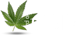 Lord Of CBDthe reference for cbd in France