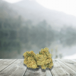 Fleurs CBD Amnésia Haze —