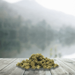 Small Cannatonic Glasshouse 10 % - Bio