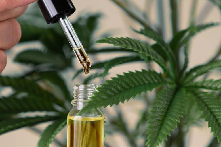 Top 10 Benefits of CBD Oil for Health and Wellness