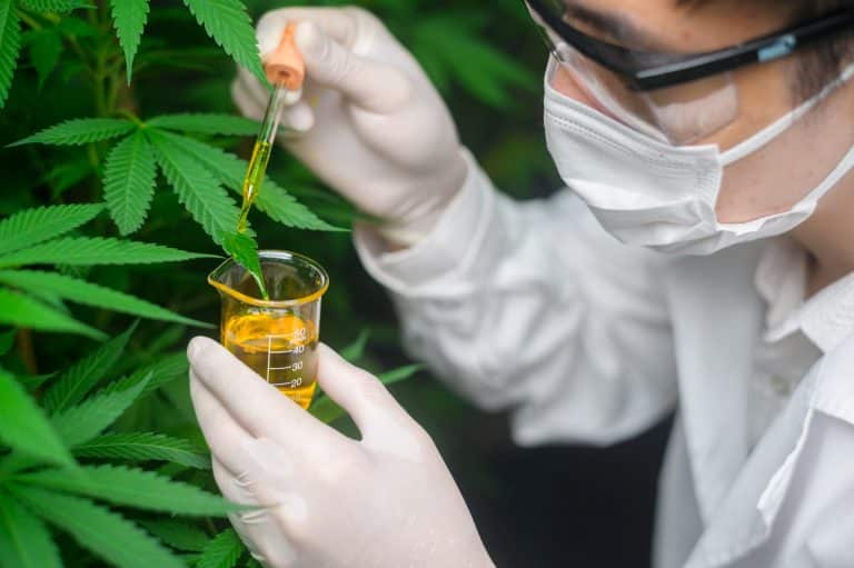 Interdiction en France du H4-CBD et du H2-CBD : Deux Dérivés du Cannabis Classés comme Stupéfiants