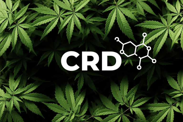 CRD Cannabinoïdes à Réception Dynamique, c'est quoi ?