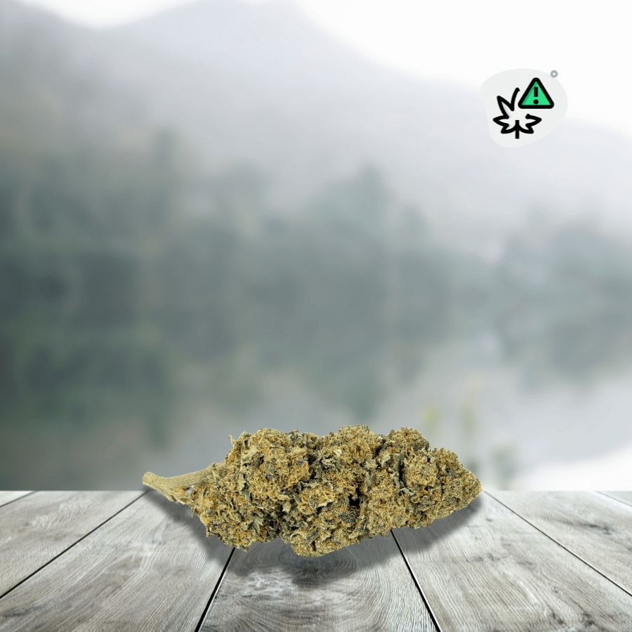 Jack Herer CBD Power Boost Flores 30%