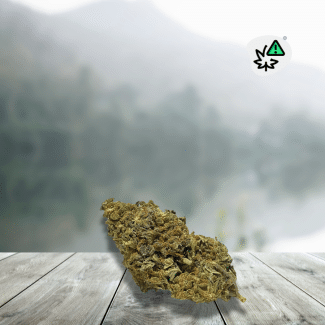 Flores Amnesia CBD Power Boost 30% Francia