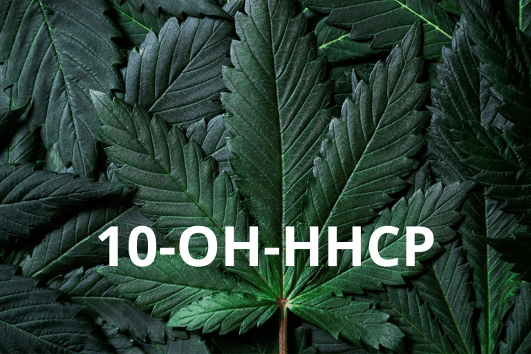 Fannt alles eraus wat Dir wësse musst iwwer 10-OH-HHCP, en Hydroxy Derivat vun HHCP. Léiert wéi et geformt gëtt, seng Effekter, seng potenziell Risiken, a wéi et mat anere Cannabinoide wéi 10-OH-HHC vergläicht.