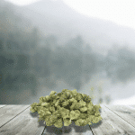 Fleurs CBD Small Bubba Kush 11 % - Origine France Et Bio