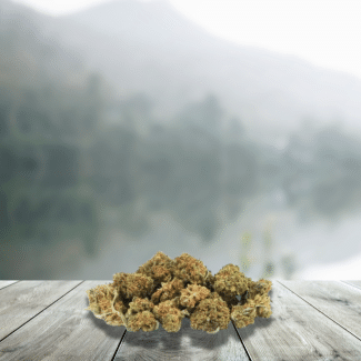 Tarta De Queso Pequeña De Flores De CBD Francia