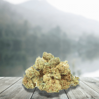 CBD Flowers Kleine bruidstaart Frankrijk