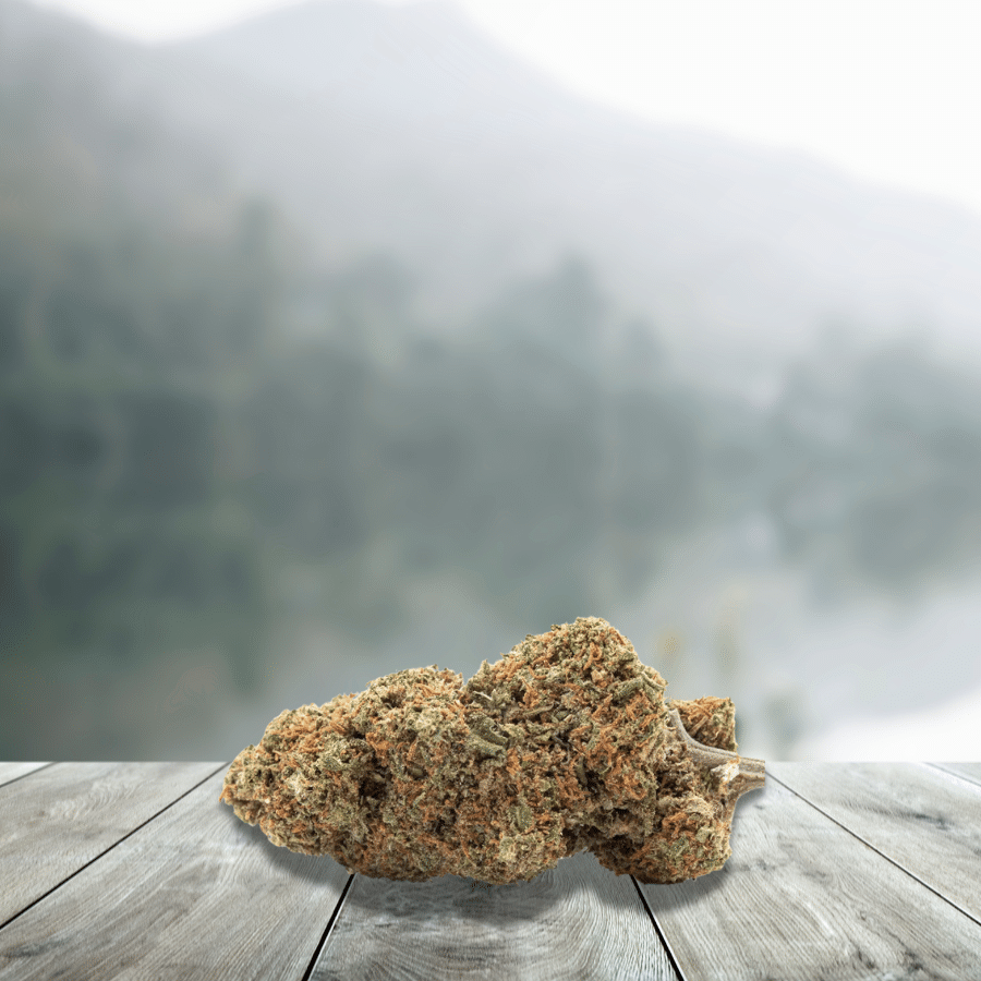 CBD Flowers Orange Bud 12% Indoor