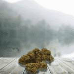 Fleurs CBD Candy Kush 12 %