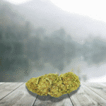 Fleurs CBD Bubba Kush 11 %