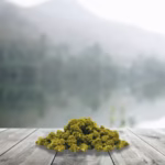 Small CBD Green Crack 12 % (Génétique Usa) – France & Bio
