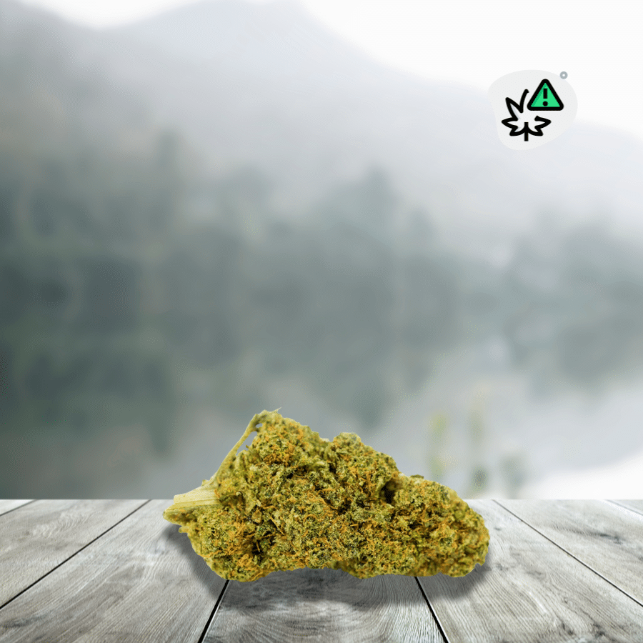 Oasis Kush Flowers THV-N10 20%