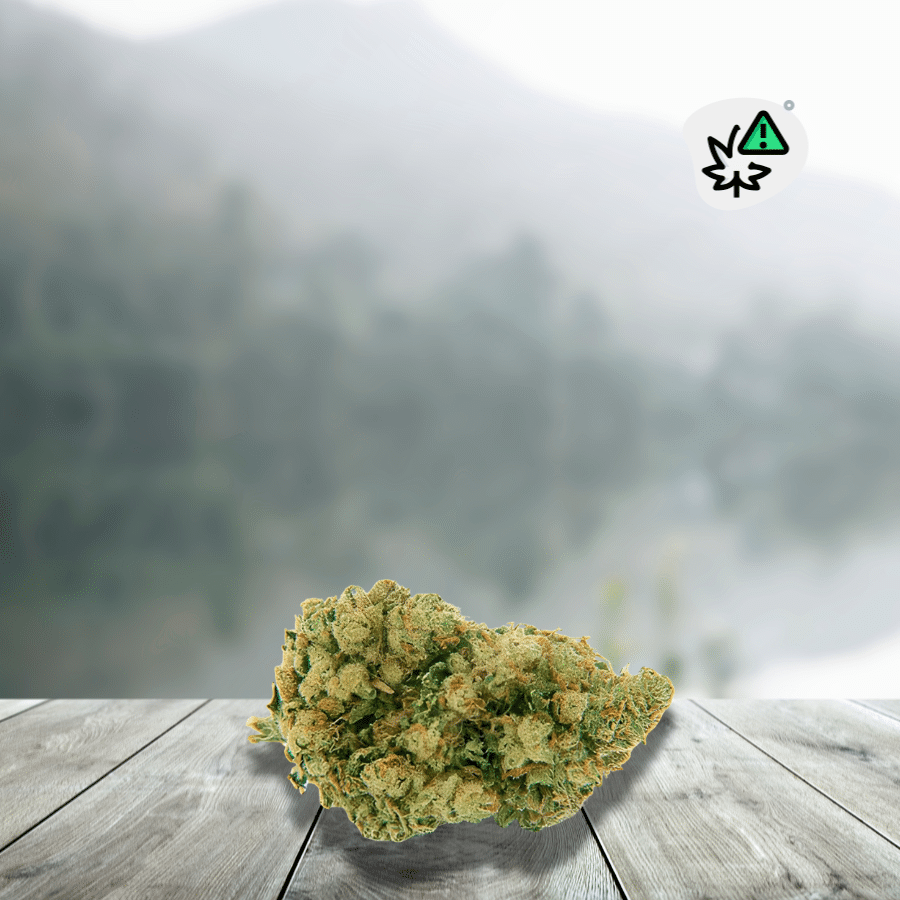 Amnesia US D10 STV-10 20% Flower is a premium flower enriched with new cannabinoids, designed for those who enjoy intense and controlled sensations. Inspired by the renowned Amnesia genetics, it offers a vibrant and expressive lemony aromatic profile. Its enrichment with D10 and STV-10 provides powerful, long-lasting, and balanced effects. With a THC content of less than 0.3%, it remains perfectly legal in France. An ideal choice for experienced consumers seeking innovation and quality.