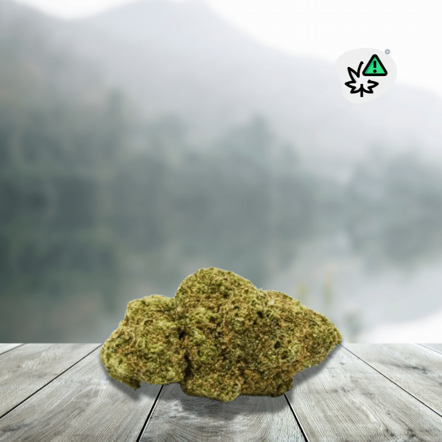 D10 Pinacolada STV-10 20% Flowers offer an intense and modern experience, designed for next-generation cannabinoid enthusiasts. Their exotic aromatic profile blends pineapple, coconut, and sweet notes for an ultra-indulgent taste. Enriched with STV-10, they provide stronger and longer-lasting effects than a classic CBD flower. Relaxation is deep, gradual, and controlled, without loss of lucidity. This product is 100% legal in France, with a THC content of less than 0.3%.