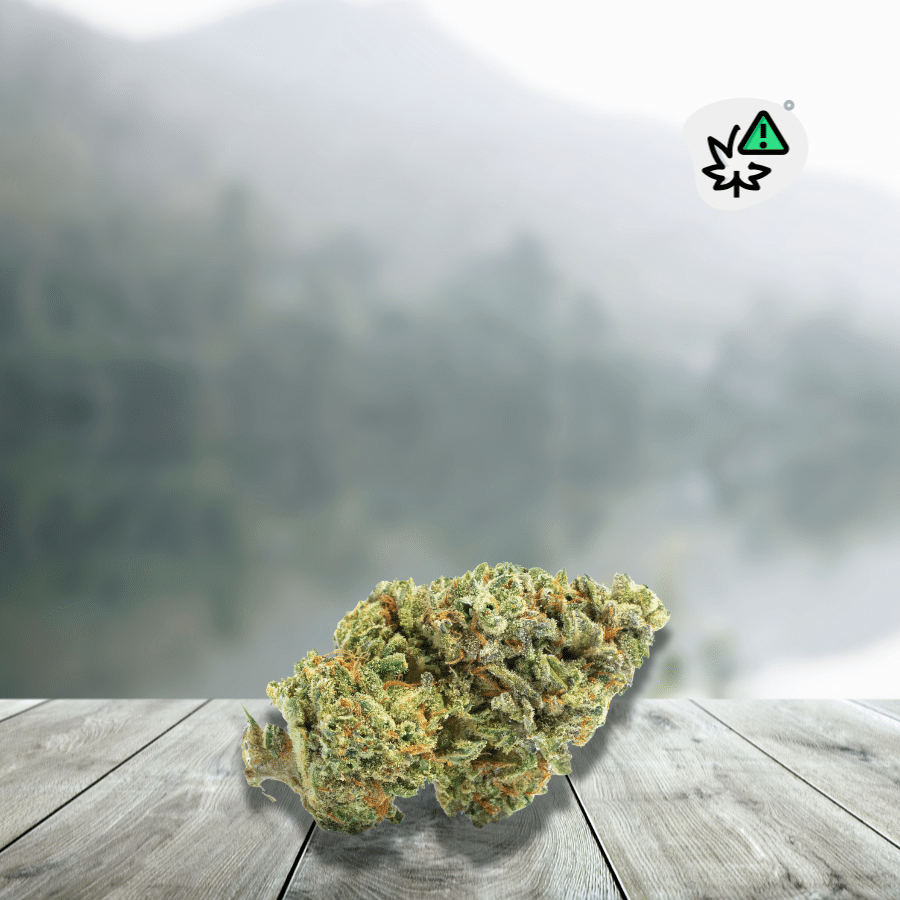 OG Zeus THV-N10 20% flower is a premium strain inspired by American OG genetics, designed for those who crave intense sensations. Enriched with THV-N10, it offers deeper and longer-lasting effects than classic CBD, while remaining 100% legal (THC ≤ 0.3%). Its powerful aromatic profile blends earthy, woody, and gassy notes. A dense, resinous, and perfectly balanced flower, ideal for intense and controlled relaxation.