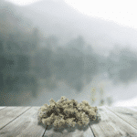 Small CBD Sour Diesel 12 % (Génétique Usa) – France & Bio