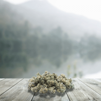 Flowers Small Sour Diesel CBD 12%