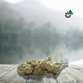 Flowers Super Silver Haze US D10 STV-10 20%