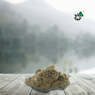 Gelato Flowers 41 US (California) DC10 STV-10 20%