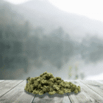 Small CBD Runtz 12 % (Génétique Usa) – France & Bio