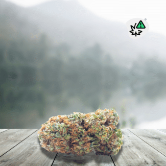 CBD Flowers California Kush DC10 20% Indoor