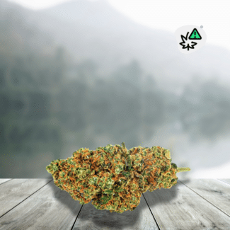 CBD Flowers G13 DC10 20% Indoor