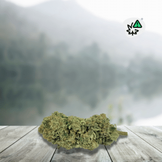 Discover California Kush THCX 20%, a flower inspired by the famous Californian genetics, renowned for their intense and resinous aromatic profiles. This variety stands out with its deep kush notes, blending earth, pine, and slightly spicy nuances. With a concentration of 20%, it's perfect for lovers of bold flowers seeking an authentic and powerful aromatic profile.