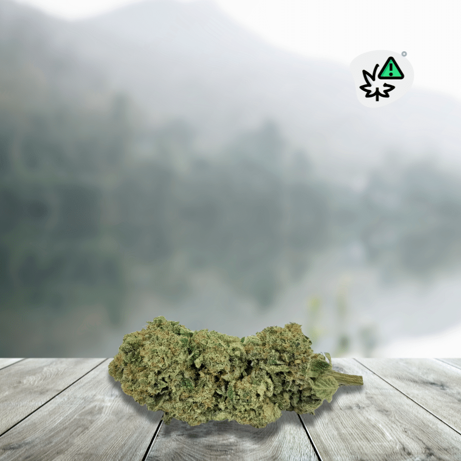 Discover California Kush THCX 20%, a flower inspired by the famous Californian genetics, renowned for their intense and resinous aromatic profiles. This variety stands out with its deep kush notes, blending earth, pine, and slightly spicy nuances. With a concentration of 20%, it's perfect for lovers of bold flowers seeking an authentic and powerful aromatic profile.