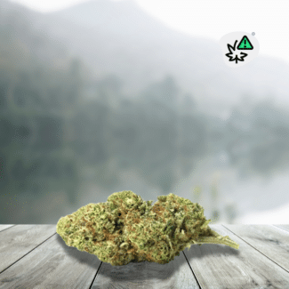 Discover G13 US THV-N10 20% Flower, a premium strain inspired by legendary genetics and enriched with one of today's most sought-after cannabinoids. Renowned for its dense buds, high resin content, and potent aromatic profile, G13 US appeals to high-end flower enthusiasts seeking an intense and flavorful experience. With its 20% THV-N10 concentration, this next-generation flower combines exceptional visual appeal, woody and spicy aromas, and an experience particularly appreciated by experienced users. An essential choice for discovering the full potential of flowers enriched with legal cannabinoids.