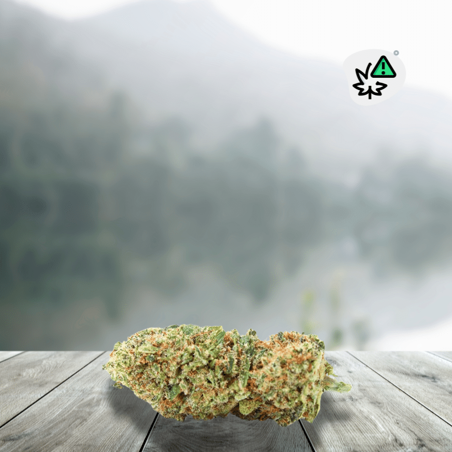 Discover GMO Cookies US DC10 20% Flower, a premium strain directly inspired by today's most sought-after American genetics. Renowned for its compact buds, high resin production, and intense aromatic profile, GMO Cookies appeals to high-end flower enthusiasts seeking a unique experience. Enriched with 20% DC10, this flower combines the power of next-generation cannabinoids with complex flavors blending sweet biscuit, earthy notes, spices, and characteristic diesel nuances. An exceptional strain for discerning consumers who want to enjoy a terpene-rich flower, carefully selected for its quality, appearance, and aromatic intensity.
