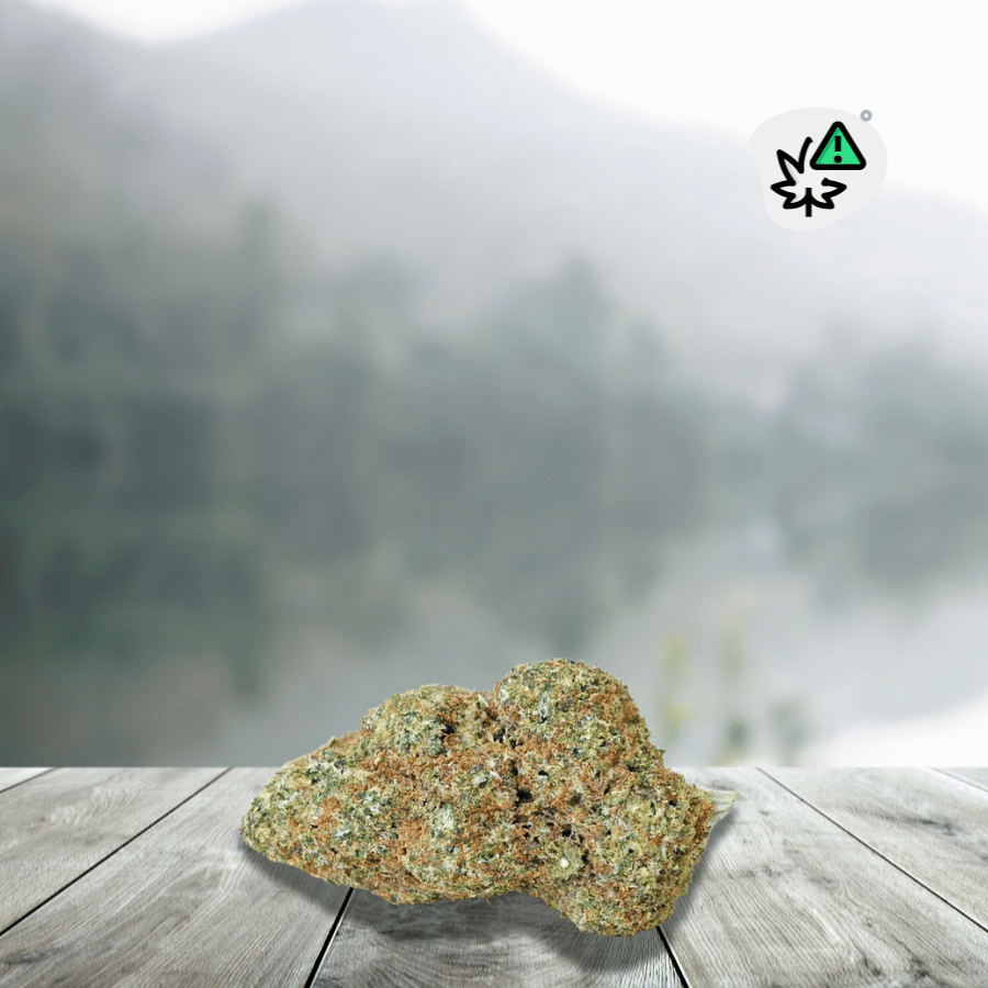 Discover OG Diamond US DC10 20%, a premium flower inspired by renowned American OG genetics, known for their intense, mineral aroma. Grown indoors, this variety stands out with its compact, resinous, and perfectly manicured buds. Its aroma combines deep, slightly earthy and lemony Kush notes with a characteristic "fizzy" touch. With a 20% concentration, it belongs to the new generation of enriched flowers, combining visual appeal, terpene richness, and demanding cultivation practices.
