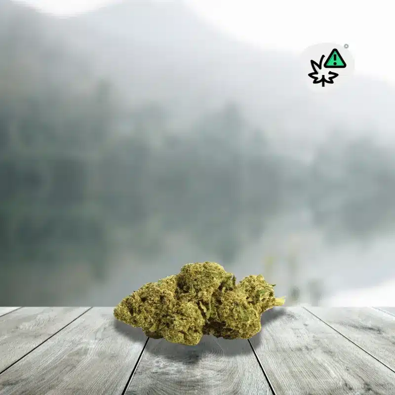 Amnesia Flowers CRD 50% - Indoor