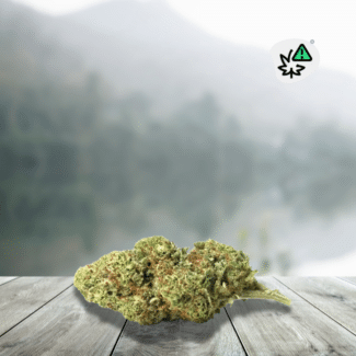 Découvrez la Banana Dream DC10 20% Indoor US, une fleur premium au profil aromatique particulièrement gourmand, dominé par la banane mûre, les fruits tropicaux et les baies, avec des nuances crémeuses, végétales et légèrement épicées. La génétique Banana Dream est généralement associée au croisement Blue Dream × Banana Cheese, ce qui explique cette rencontre entre douceur fruitée et notes plus profondes. Cultivée en indoor et sélectionnée dans un esprit US premium, cette version DC10 20% se distingue par ses fleurs denses, son aspect résineux et son identité aromatique originale.