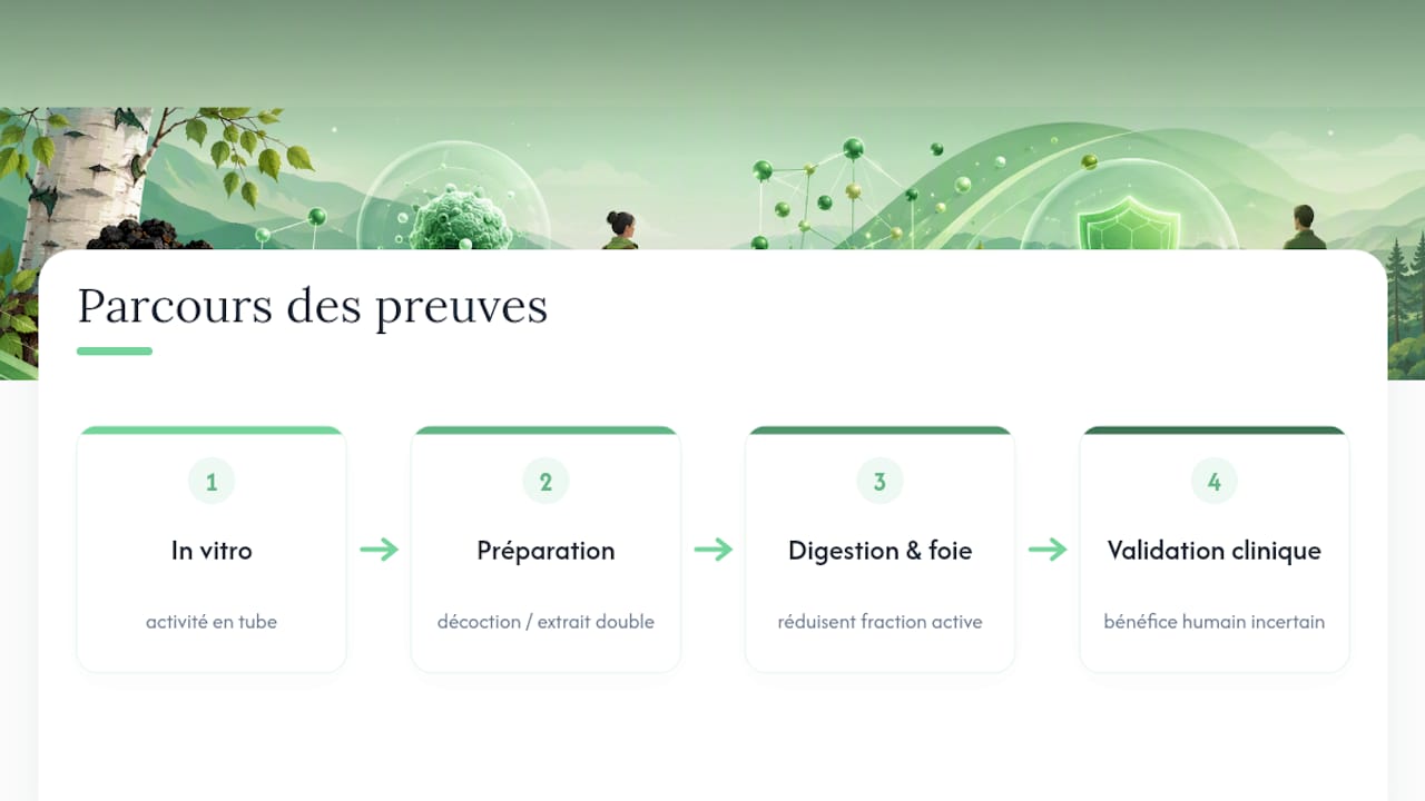 Du laboratoire aux preuves cliniques chez l'humain pour le chaga