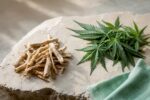 Ashwagandha roots and hemp leaves