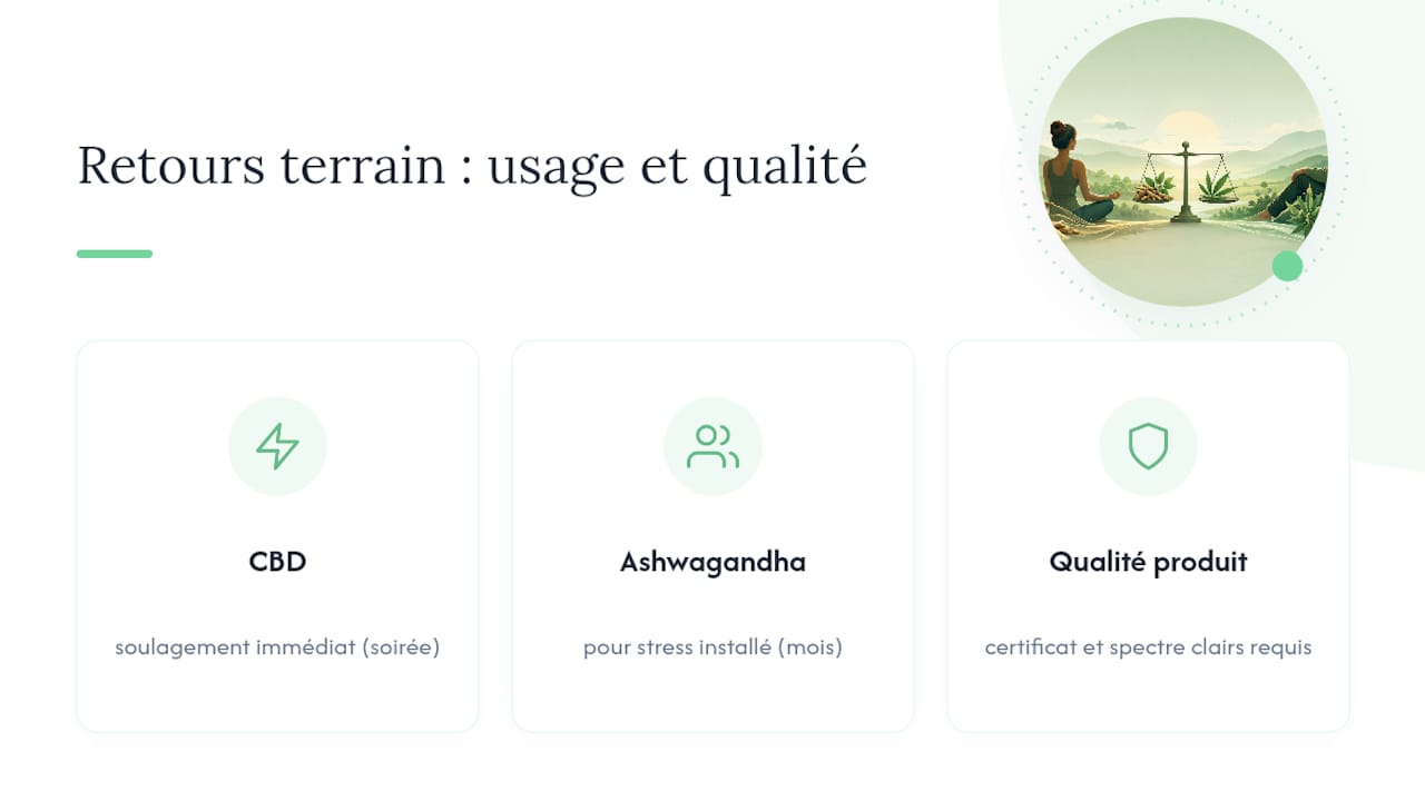 Ce que l'expérience terrain nous apprend sur ces deux options — overview diagram