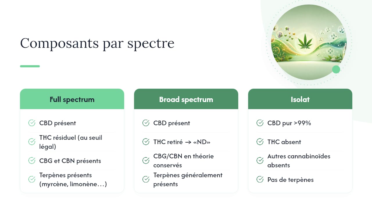 A három CBD spektrum összehasonlítása