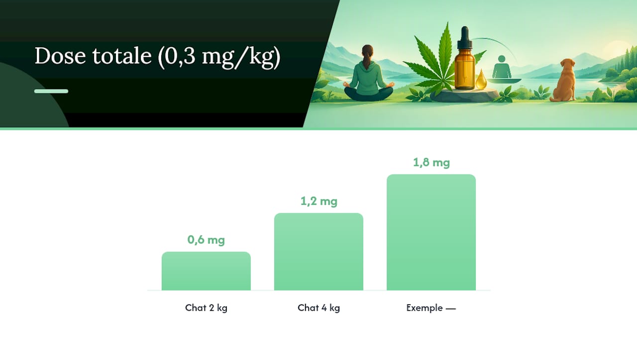 Schéma de calcul du dosage de CBD selon le poids
