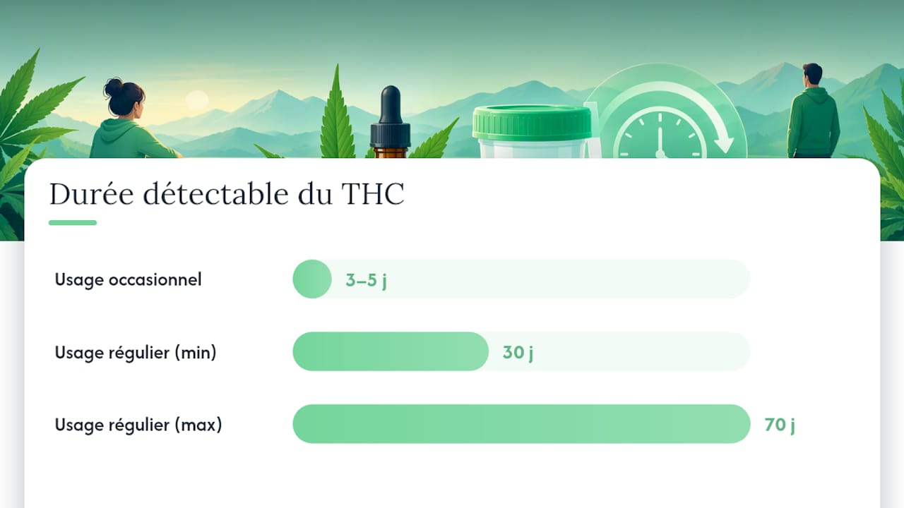 Combien de temps le THC reste détectable dans l'urine — overview diagram