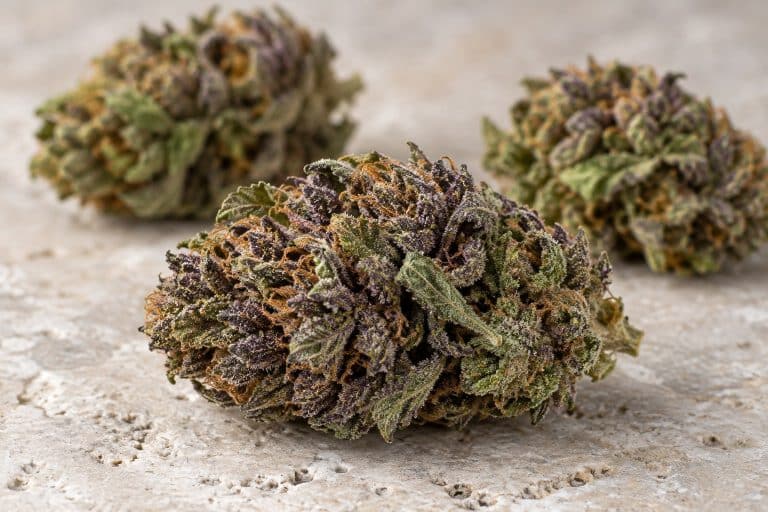 Fleurs CBD violettes et pigmentation naturelle
