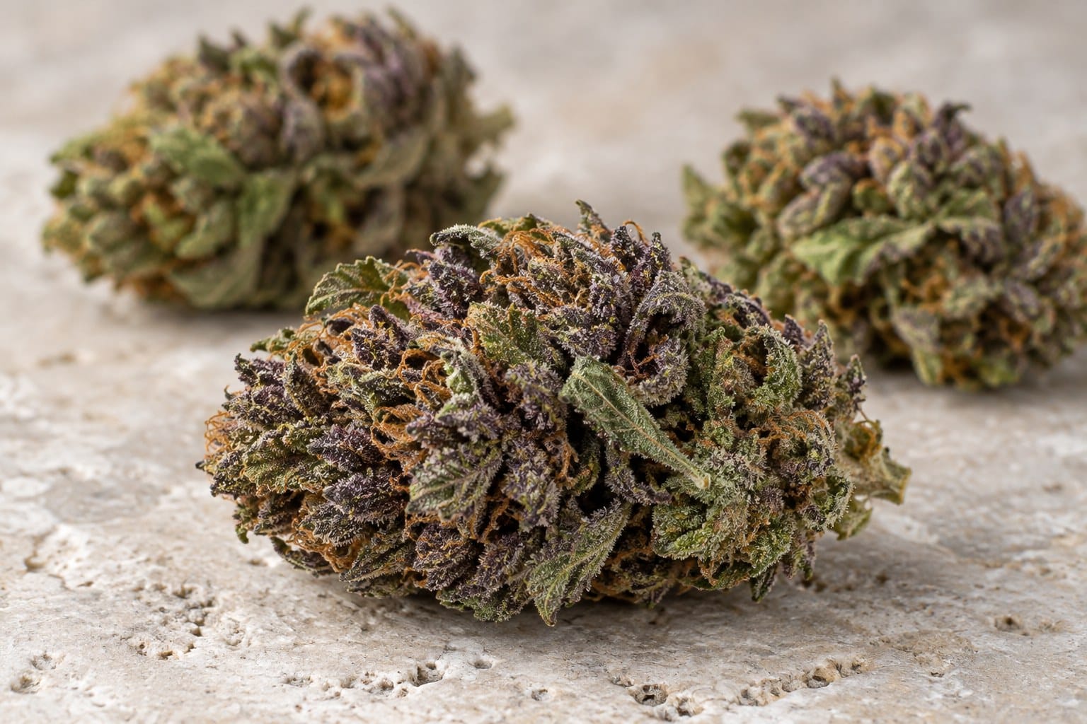 Fleurs CBD violettes et pigmentation naturelle