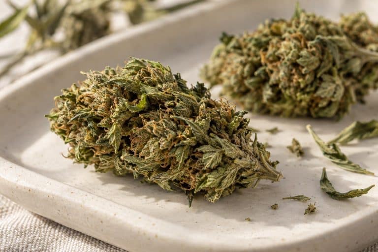 Manucure et finition des fleurs CBD