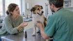Vétérinaire donnant des conseils à une propriétaire avec son chien