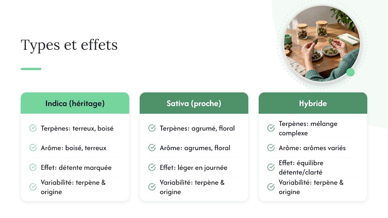 Variétés et origines : des effets qui varient selon le profil génétique — overview diagram