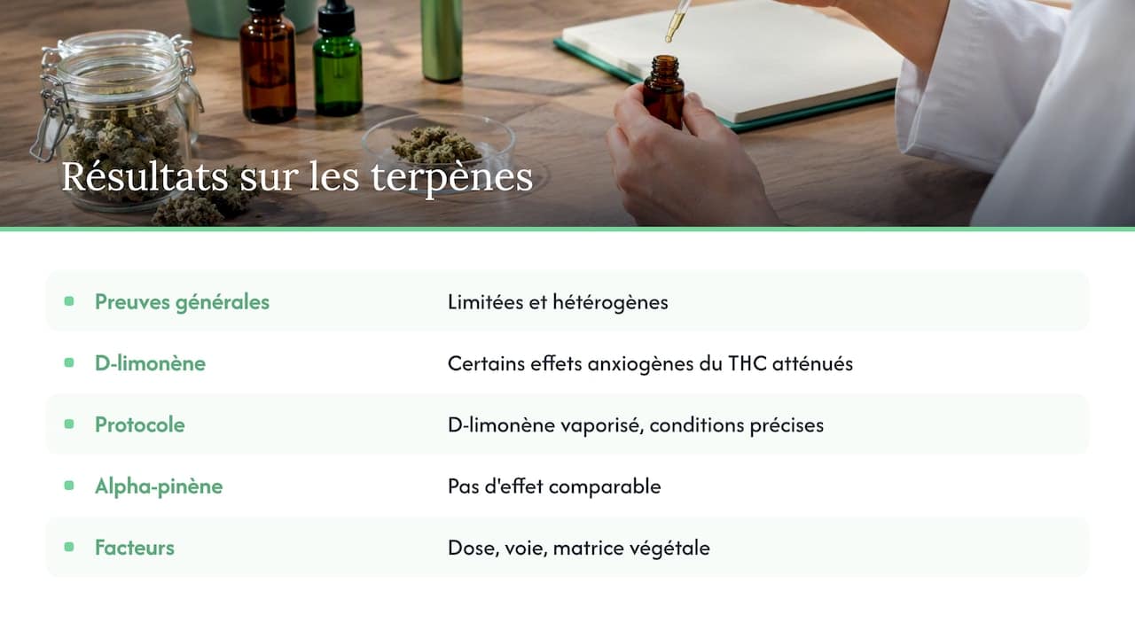 Nuances des preuves scientifiques sur les terpènes