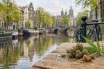 CBD Pays-Bas : découvrez les catégories Lord Of CBD, d’Amsterdam à Rotterdam